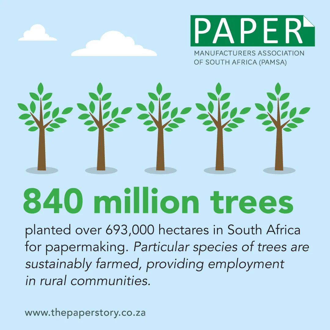 PAMSA South Africa Papermaking Trees Infographic