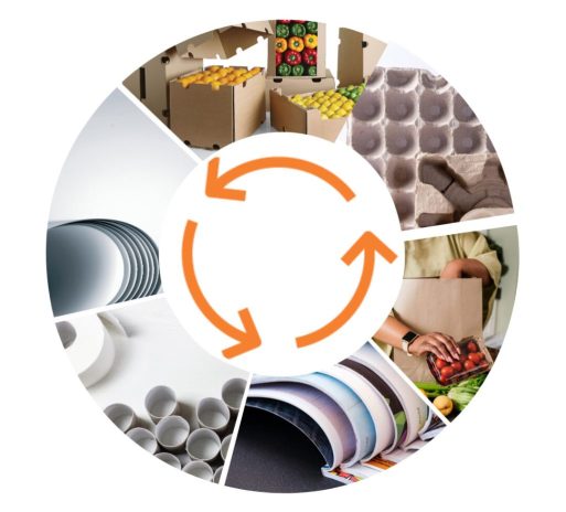 Recyclable products