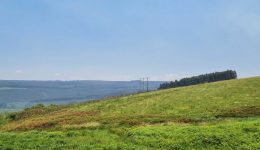 Karkloof-Blue-Butterfly-Nature-Reserve_GrasslandLandscape-new