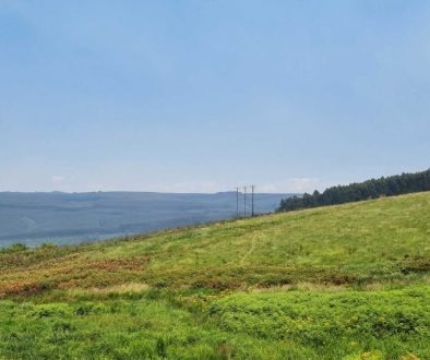 Karkloof-Blue-Butterfly-Nature-Reserve_GrasslandLandscape-new