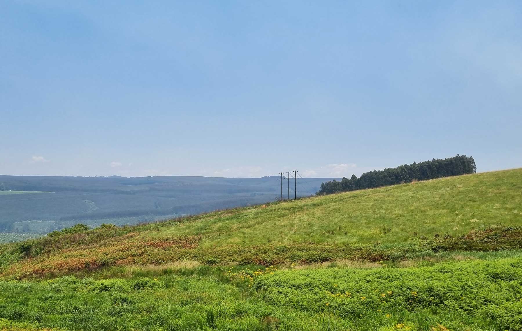 Karkloof-Blue-Butterfly-Nature-Reserve_GrasslandLandscape-new