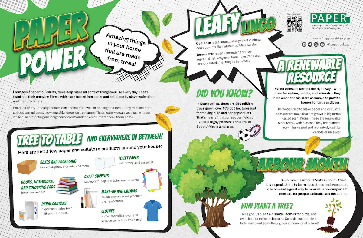 paper products and renewable trees for kids